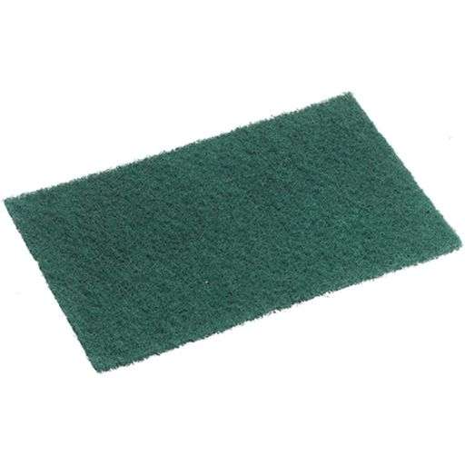 Premium Nylon Scouring Pad 230Mm X 150Mm Green x 1