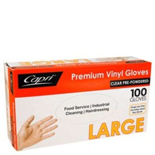 100 pack Large clear powdered Gloves